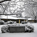 Woodrow Bailey Photo 15