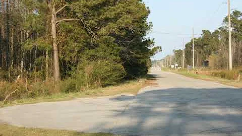 Vicki Sturgill Photo 14