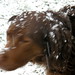 Alicia Shook Photo 24