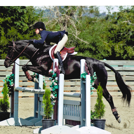 Jessica Harrell Photo 9