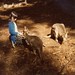 Linda Roos Photo 35