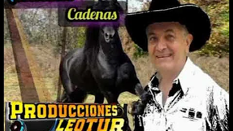 Antonio Cadenas Photo 8