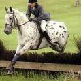 Lauren Toole Photo 1