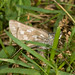 John Juba Photo 16