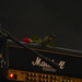 Rose Kuntz Photo 16
