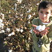 Vandana Chopra Photo 30