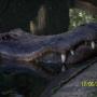 Karen Peebles Photo 21