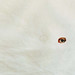 Catherine Elkins Photo 26