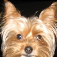 Grace Pickett Photo 3