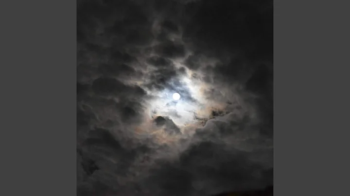 David Sacco Photo 36