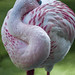 Orlando Moya Photo 28