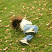 Sidney Rollins Photo 14