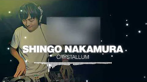 Sue Nakamura Photo 11