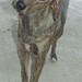 Doris Carnes Photo 19
