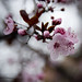 Lawrence Ong Photo 29