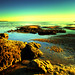 Dorcas Green Photo 16