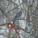 Jay Laporte Photo 11