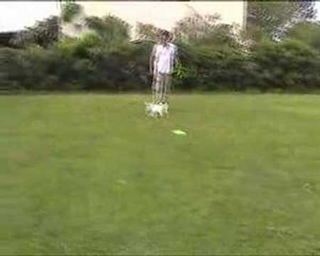 Russell Frisby Photo 11