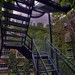 Jeannie Macdonald Photo 22