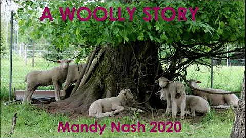 Mandy Nash Photo 28