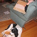 Stephen Farber Photo 18