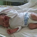 Daniel Nagy Photo 41