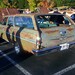 Chevelle Brown Photo 29