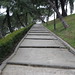 Alfonso Taylor Photo 27