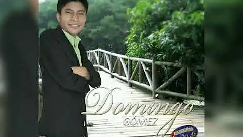 Domingo Gomez Photo 32