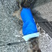 Bonnie Coats Photo 26
