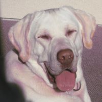 Eddie Poole Photo 6