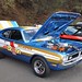 John Mcclenathan Photo 18