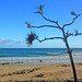 David Gipp Photo 16