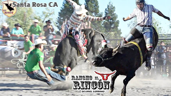 Roy Rincon Photo 16
