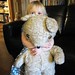 Ted Bear Photo 37