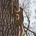 Jack Polson Photo 14