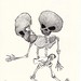 Steven Companion Photo 15
