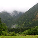Misty Green Photo 46