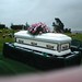 Mary Stoltz Photo 29