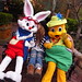Mavis Sweet Photo 15