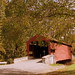 Sherri Cummings Photo 28