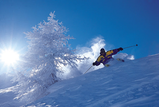 Nathan Meyer Photo 14