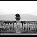 Marco Genovese Photo 30