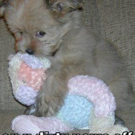 Kelly Oglesby Photo 9