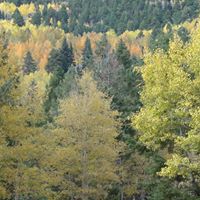 Mary Mattern Photo 5