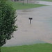 Brian Pinson Photo 35