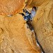 Craig Ingram Photo 42