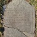 Thomas Lamson Photo 28
