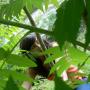 Julie Rousseau Photo 31