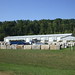 T Blackwell Photo 23